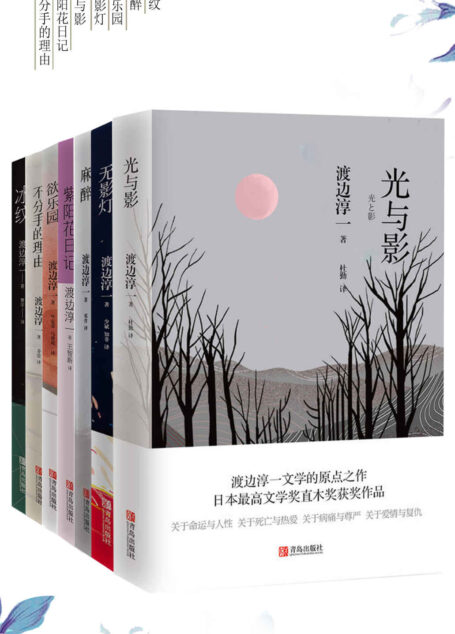 渡边淳一医情小说合集（套装共七册）：欲乐园 无影灯 不分手的理由 光与影 麻醉 冰纹 紫阳花日记