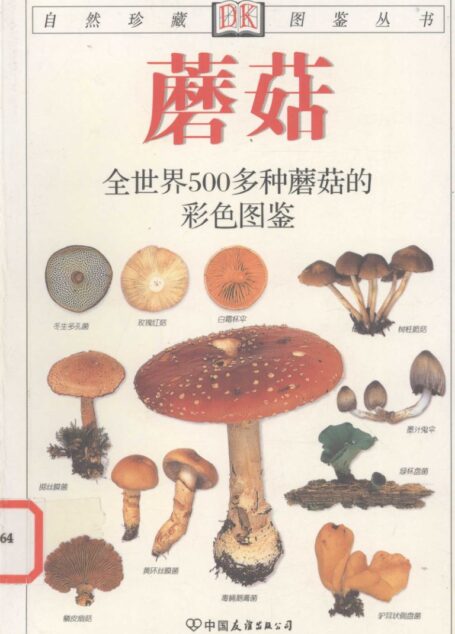 蘑菇