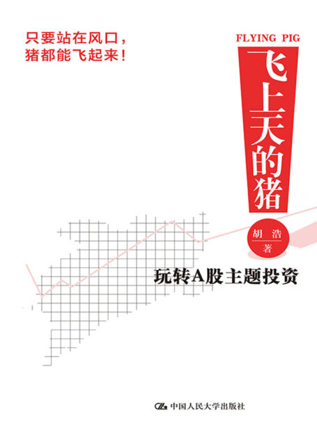 飞上天的猪:玩转A股主题投资