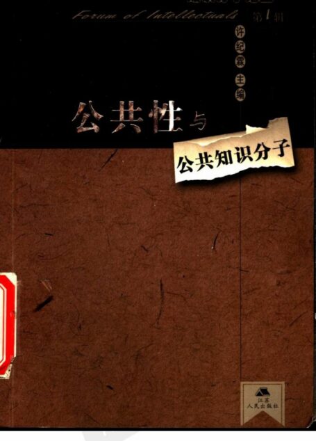 公共性与公共知识分子