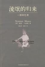流氓的归来