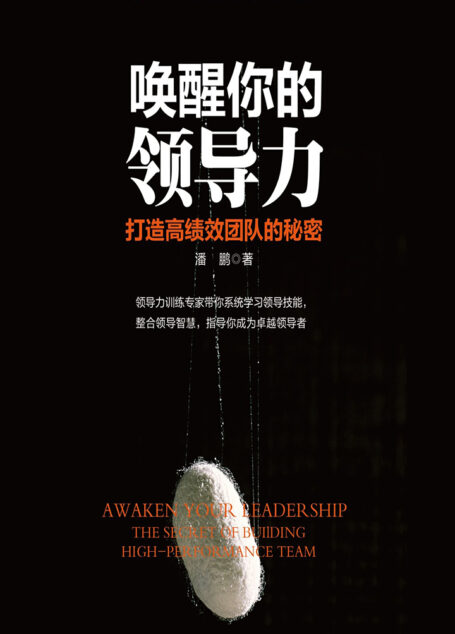 唤醒你的领导力:打造高绩效团队的秘密