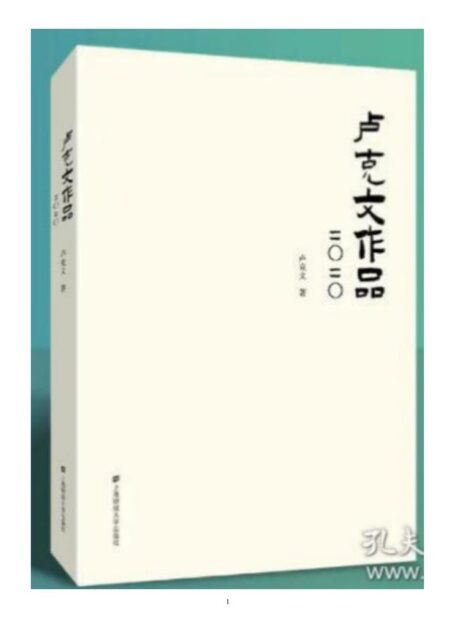 卢克文2020作品