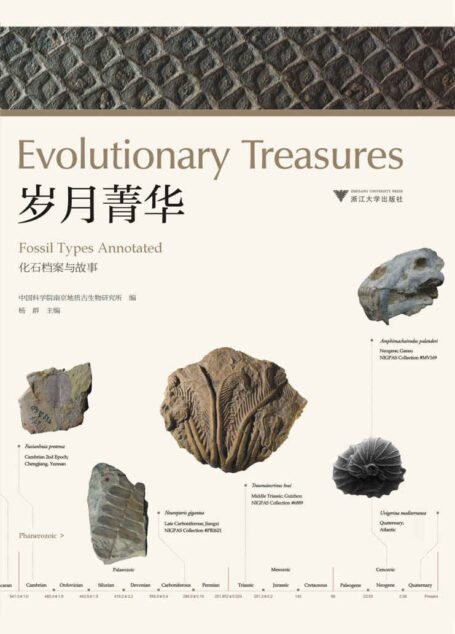 岁月菁华——化石档案与故事（中国珍贵化石图鉴，记录地球生命起源、灭绝、更替的故事，中文版）