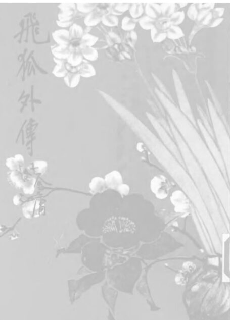 金庸作品集14.飞狐外传01