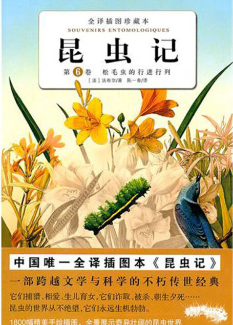 昆虫记卷6