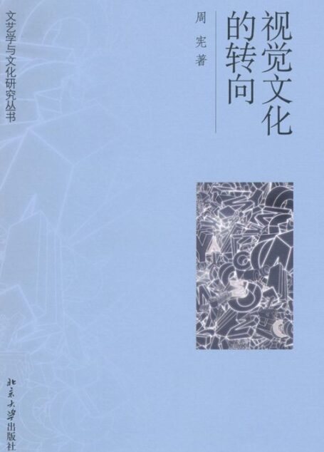 视觉文化的转向 (文艺学与文化研究丛书)