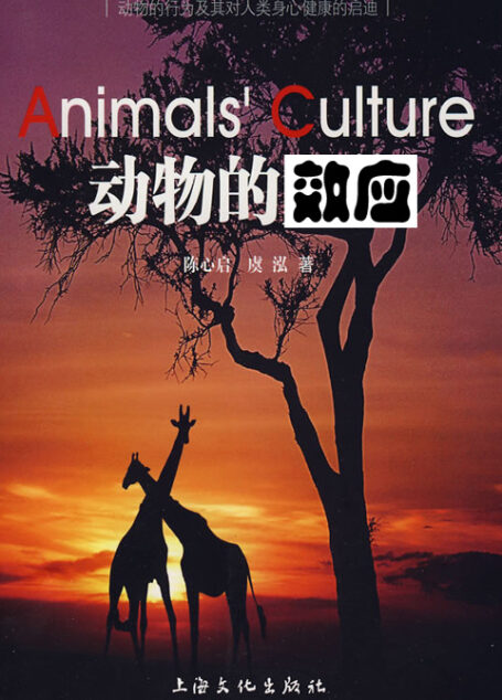 动物效应