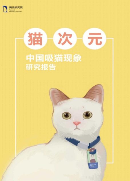 猫次元:中国吸猫现象研究报告