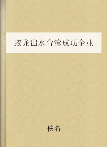 蛟龙出水台湾成功企业管理模式