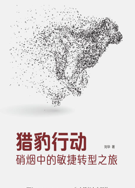 猎豹行动:硝烟中的敏捷转型之旅
