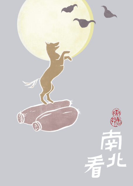 南北看