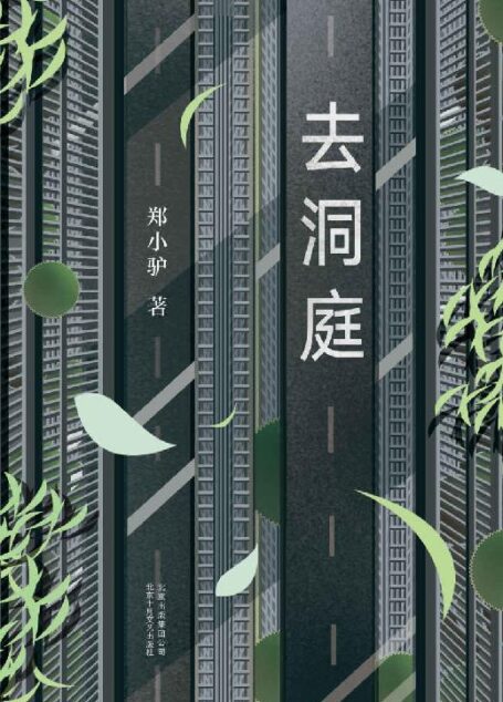 去洞庭(阎连科、韩少功、李敬泽、阿乙等诚挚推荐。85后“文字解剖师”,文字版《低俗小说》,小说版《撞车》。)