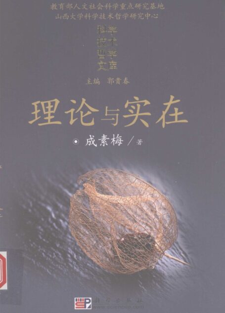 理论与实在 一种语境论的视角
