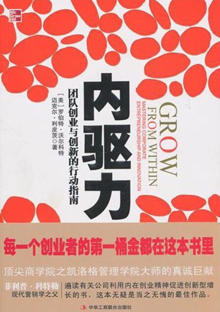 内驱力:团队创业与创新的行动指南-利皮茨 (2)