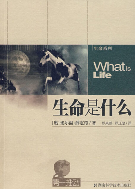 生命是什么