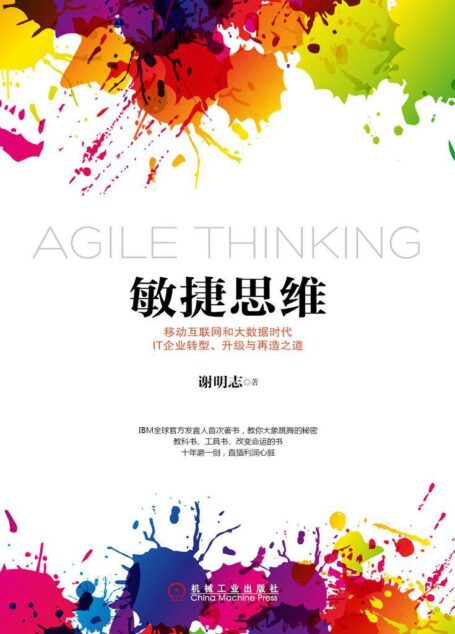 敏捷思维:移动互联网和大数据时代IT企业转型、升级与再造之道