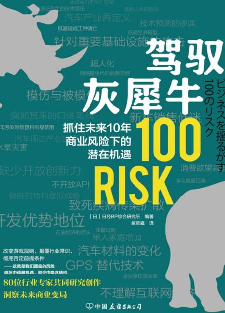 驾驭灰犀牛：抓住未来10年商业风险下的潜在机遇