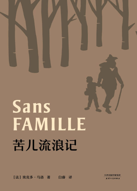 苦儿流浪记