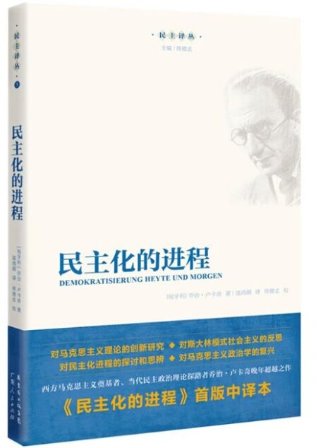 民主化的进程 (民主译丛)