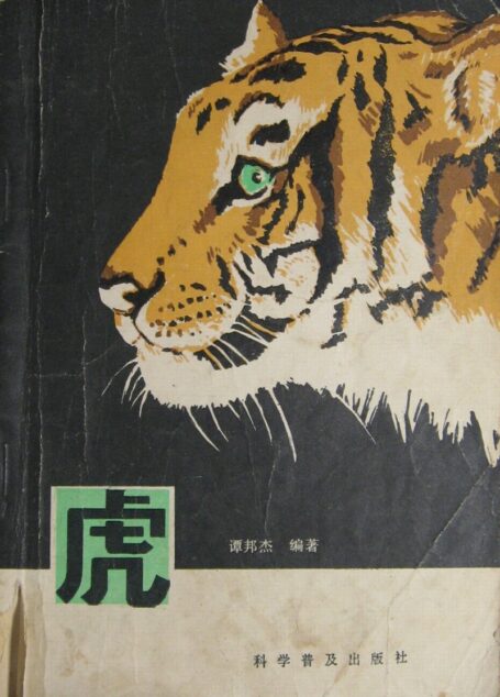 虎