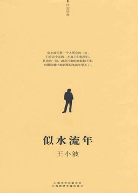 似水流年