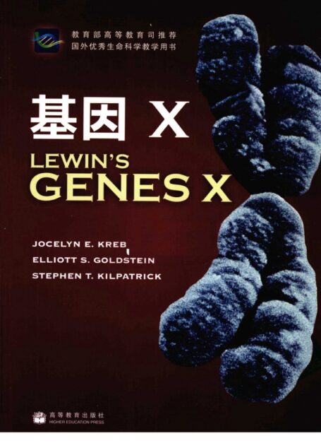 基因X  英文版
