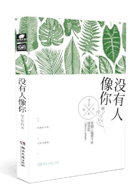 没有人像你