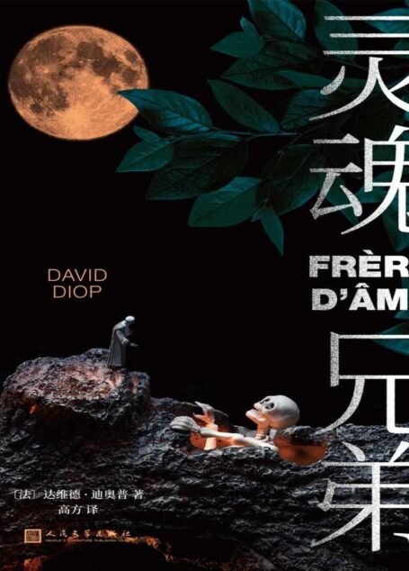 灵魂兄弟(首届龚古尔“中国之选”小说,诺奖得主勒克莱齐奥推荐。)