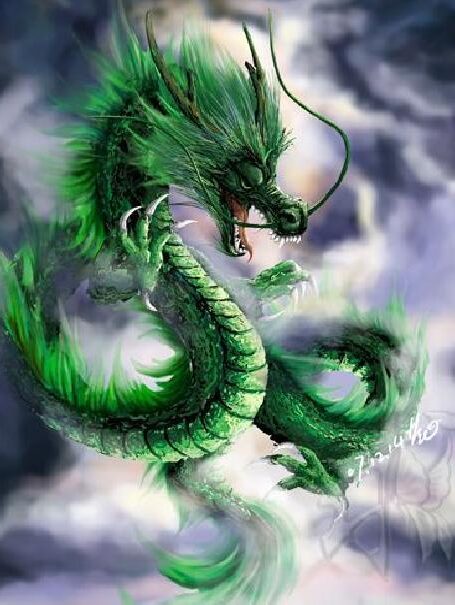 龙血至尊