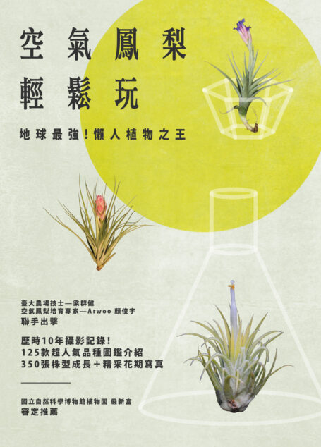 空氣鳳梨輕鬆玩:地球最強!懶人植物之王