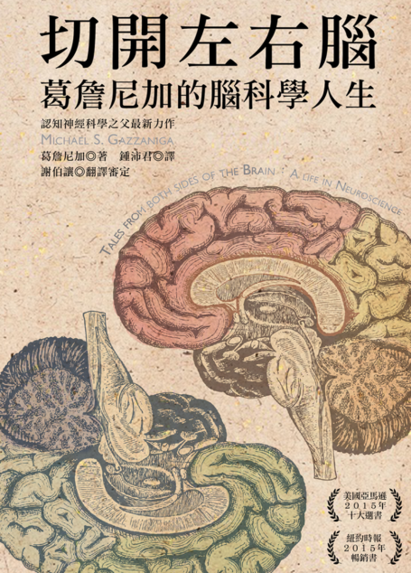 切開左右腦:葛詹尼加的腦科學人生