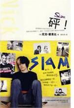 砰!(SLAM):带你进入未婚怀孕的世界