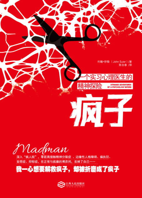 疯子:一个实习心理医生的精神探险