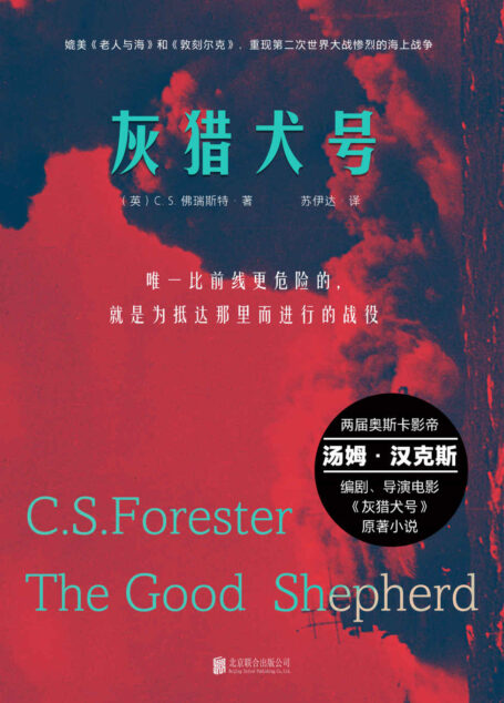 灰猎犬号(汤姆•汉克斯主演,豆瓣8.2分,具有《老人与海》和《敦刻尔克》的气质,呈现了真实的海上战争的场景)