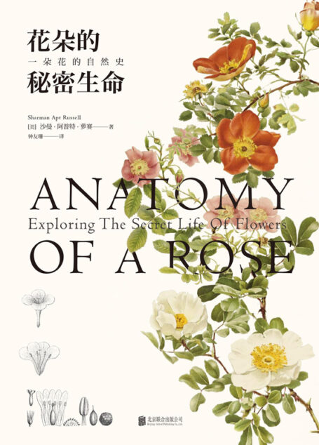 花朵的秘密生命:一朵花的自然史