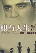 棋与人生:世界棋王的人生棋局完美对弈(精选)