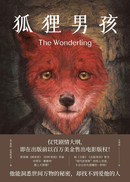 狐狸男孩(被《卫报》《出版周刊》誉为“现代狄更斯”的纸上奇迹,不会让你失望哪怕一秒钟!)