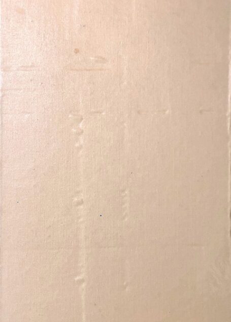 康熙與羅馬使節關係文書_乾隆英使覲見記