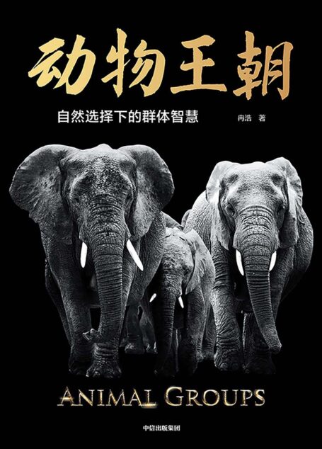 动物王朝