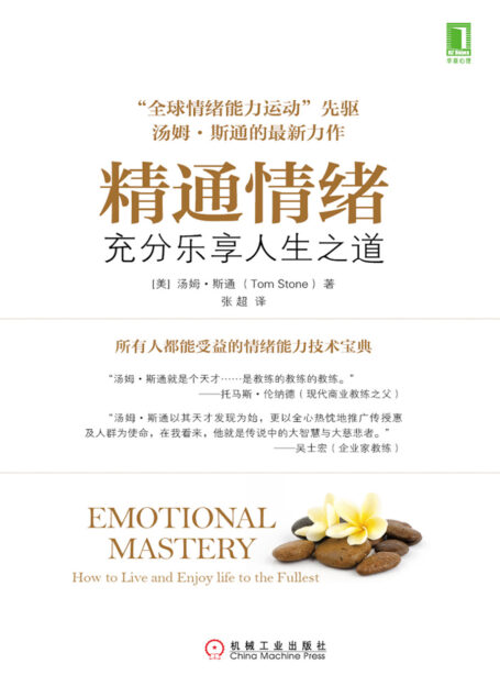 精通情绪:充分乐享人生之道