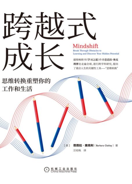 跨越式成长:思维转换重塑你的工作和生活
