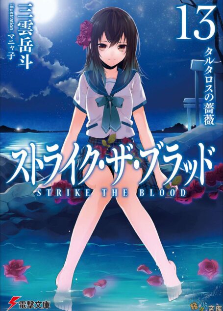 噬血狂袭 strike the blood 第十三卷 深渊蔷薇