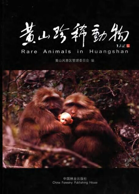黄山珍稀动物(Rare Animals in Huangshan)