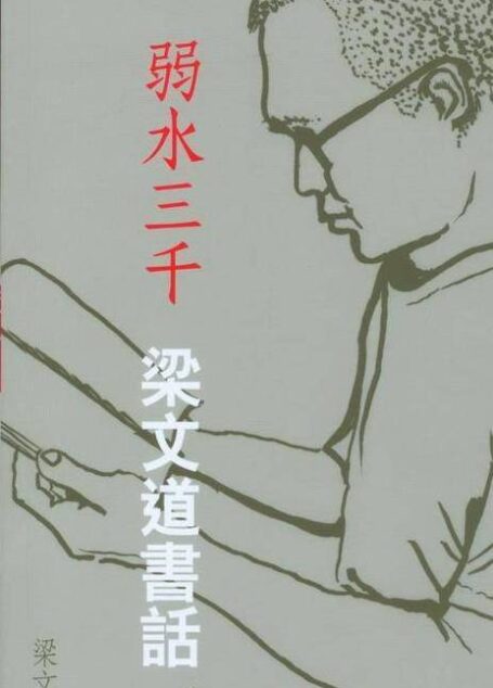 弱水三千:梁文道書話