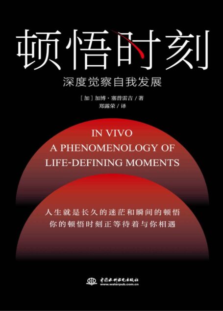 顿悟时刻(人生绝不许错过的必读哲思经典力作之一!突破自我惯性中的迷惘!一部读得出“内心刺痛感”的深度巨作)