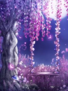 双面淑女