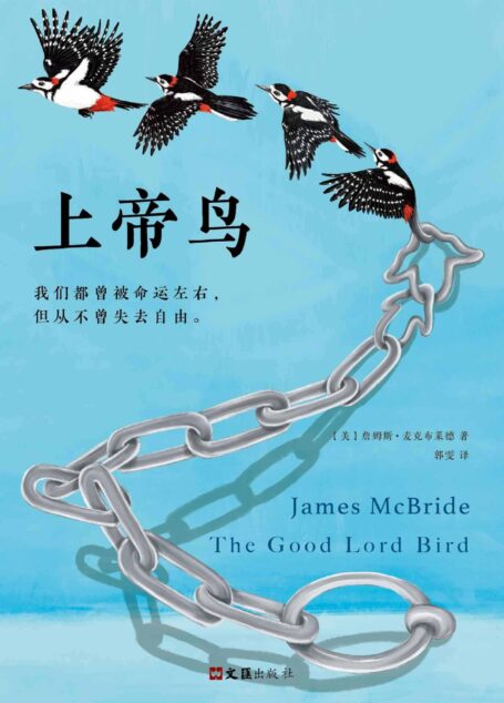 上帝鸟（2013年美国国家图书奖桂冠图书！我们都曾被命运左右，但从不曾失去自由。）