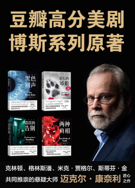 豆瓣高分美剧《博斯》系列原著（共4册）