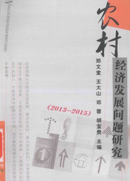 农村经济发展问题研究2015